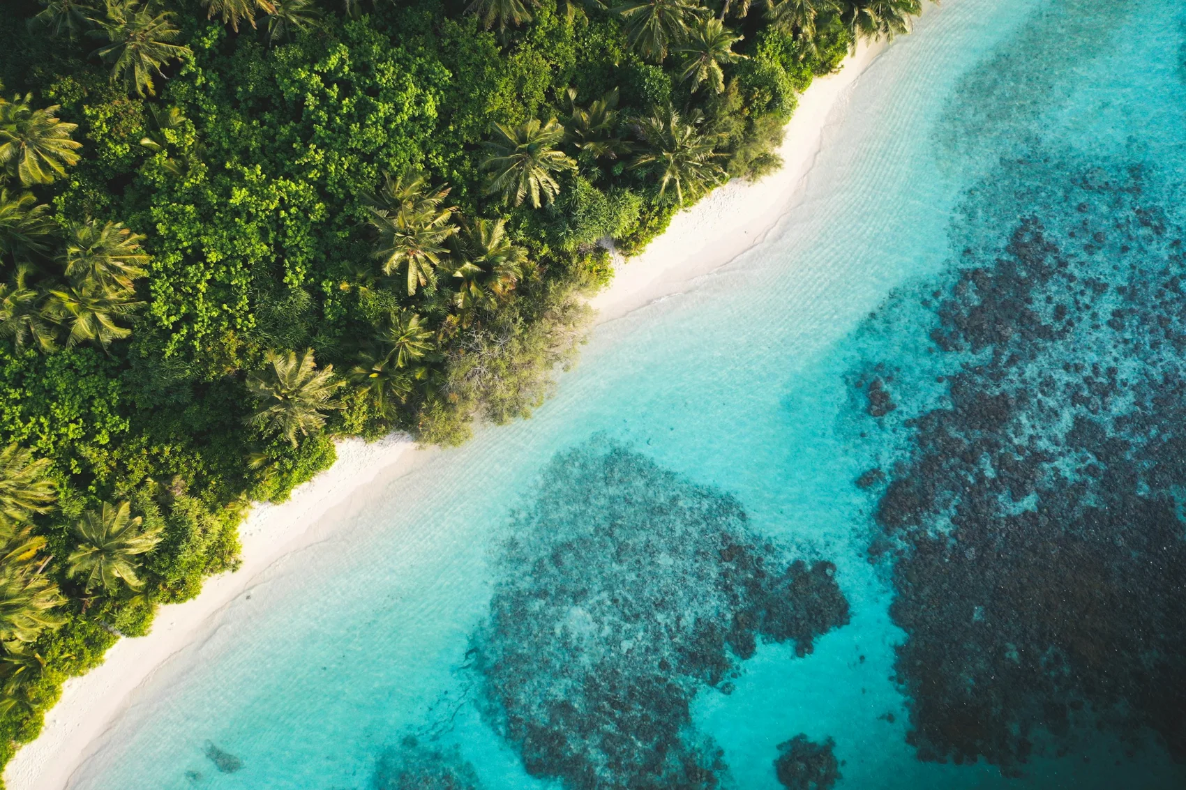 Turquoise lagoon and palm-lined beach at Dhigurah, Maldives